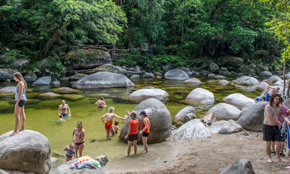 Cape Tribulation Day Tour with Daintree Wildlife Cruise