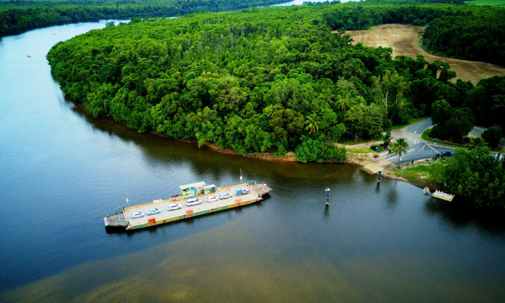 Cape Tribulation Day Tour with Daintree Wildlife Cruise