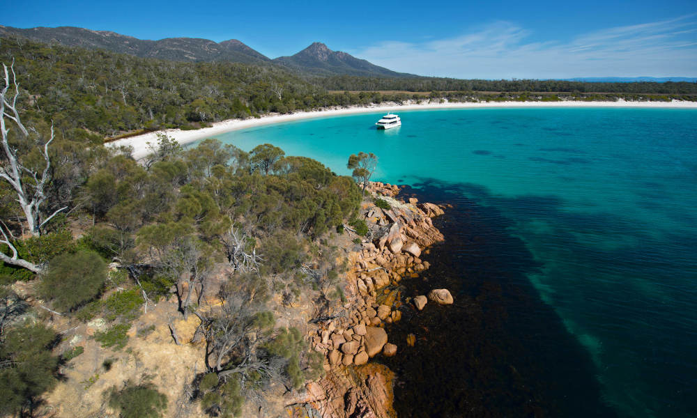Bruny Island Wilderness Cruise and Bus Transfer from Kettering