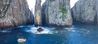 Tasman Island Cruise Day Tour from Hobart Thumbnail 1