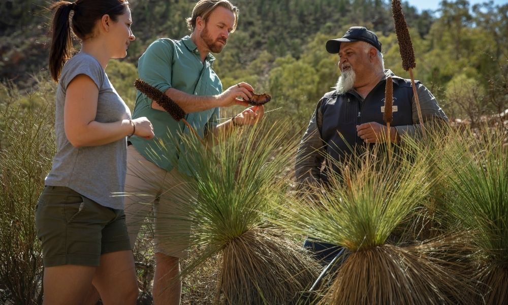Flinders Ranges 4WD Half Day Aboriginal Cultural Tour
