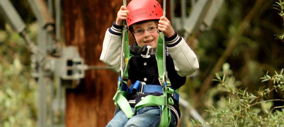 Illawarra Fly Zip Line Tours