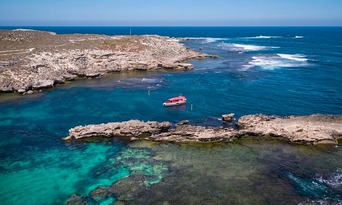 Rottnest Island Day Tour including Adventure Boat Tour and Lunch Departing From Fremantle Thumbnail 2