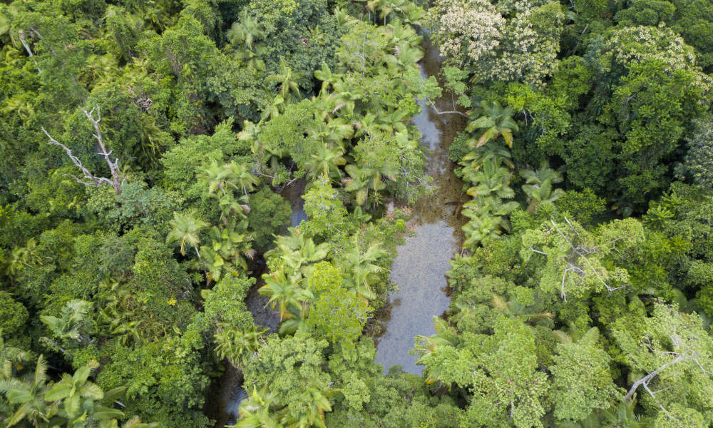 River Drift Snorkelling