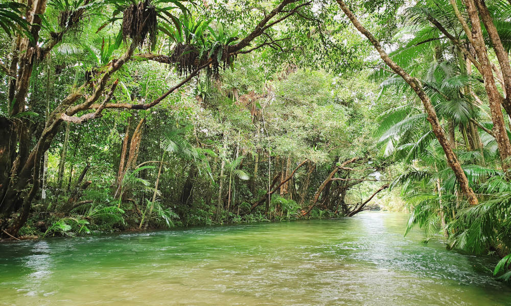 River Drift Snorkelling