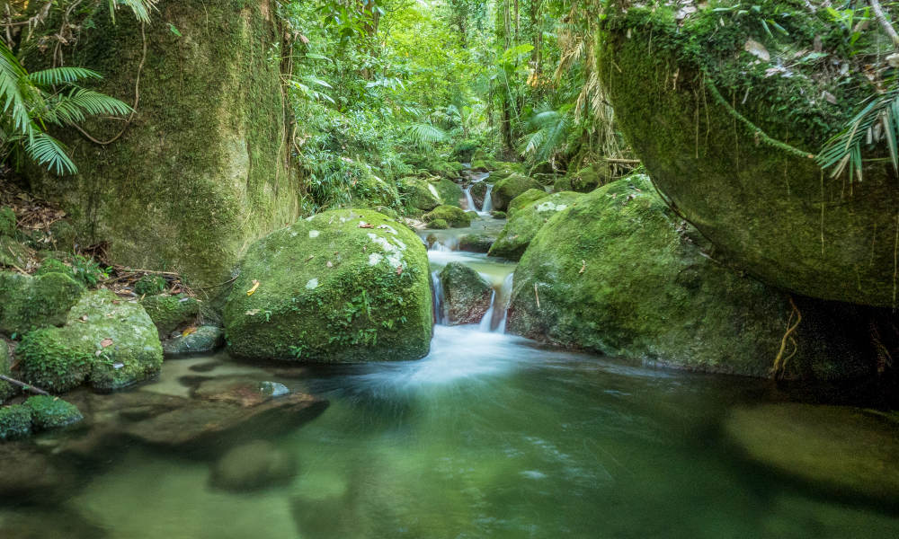 River Drift Snorkelling