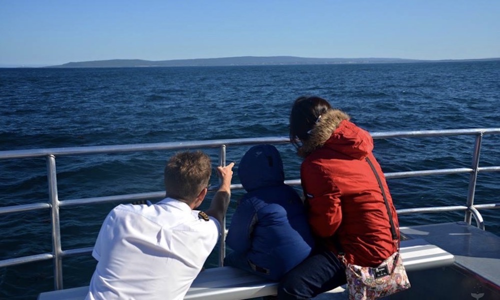 Augusta Whale Watching Experience