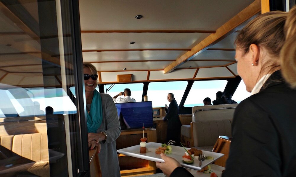 Augusta VIP Captains Lounge Whale Watching Experience