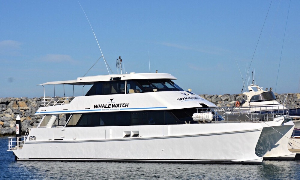 Augusta VIP Captains Lounge Whale Watching Experience