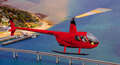 Phillip Island Full Island Helicopter Flight Thumbnail 1