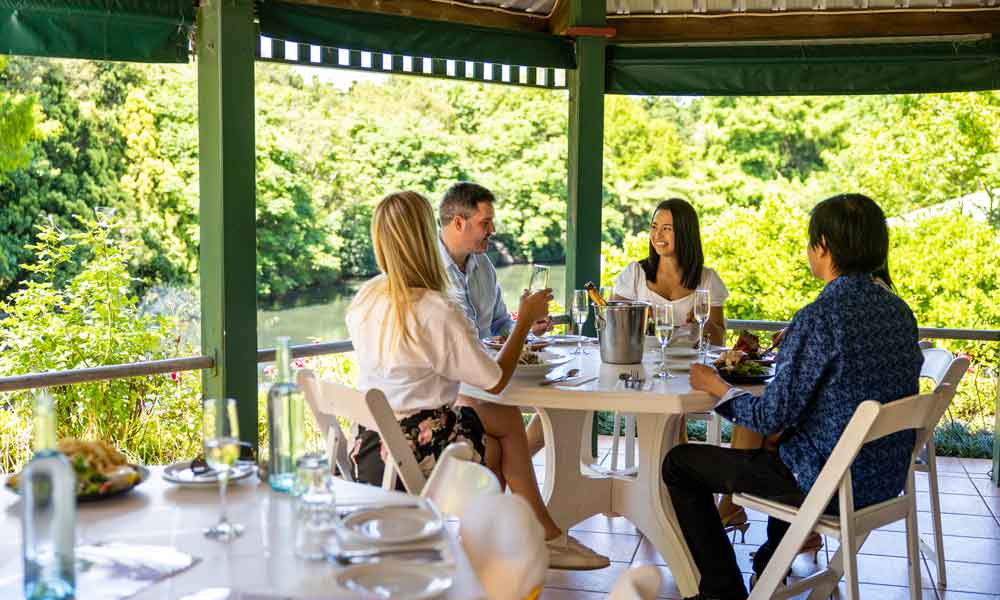 Full Day Mount Tamborine Wine Tasting Tour including Gourmet Lunch