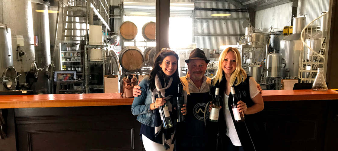 Full Day Mount Tamborine Wine Tasting Tour including Gourmet Lunch