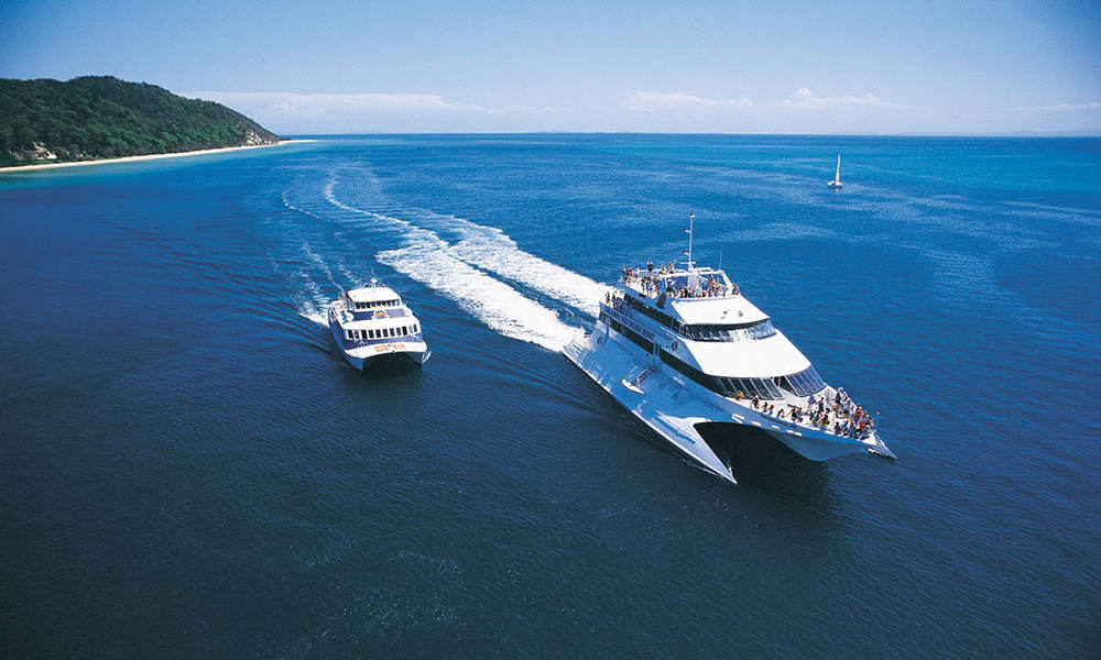 Tangalooma Island Resort Day Tour with Lunch