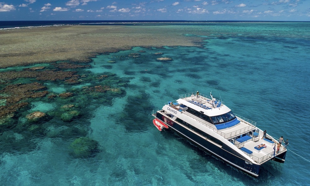 Great Barrier Reef Snorkel and Dive Cruise