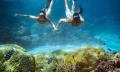 Great Barrier Reef Snorkel and Dive Cruise Thumbnail 3