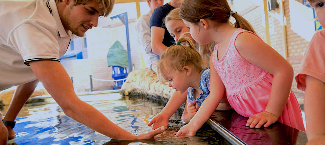 Aquarium of Western Australia Tickets Perth  Experience Oz