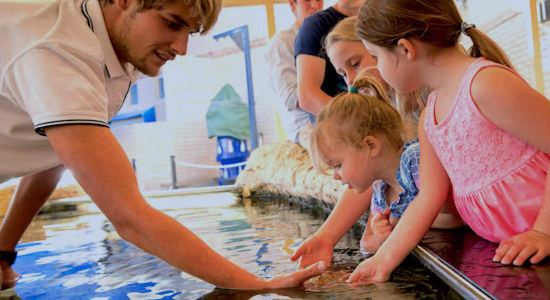 AQWA - The Aquarium of Western Australia Tickets - General Admission Tickets