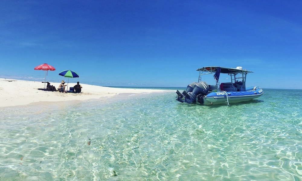 Great Barrier Cruise from Mission Beach