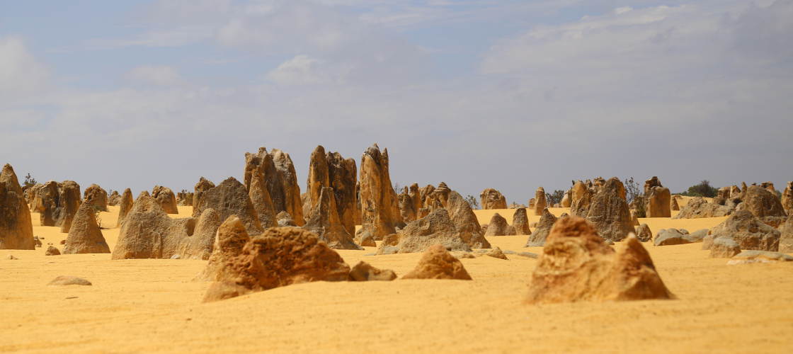 The Pinnacles Coach and Seaplane Tour with Lobster Lunch