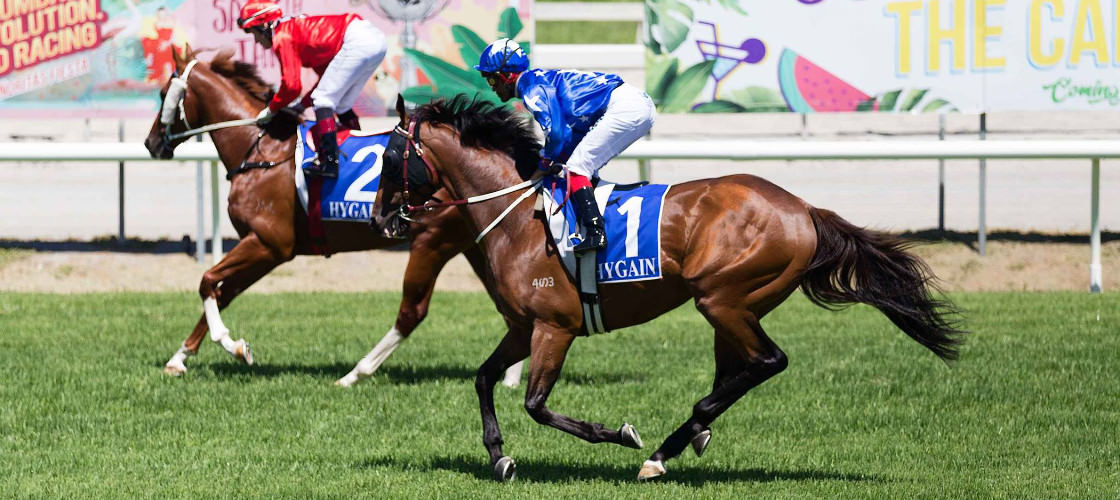 Gold Coast Turf Club General Admission Entry