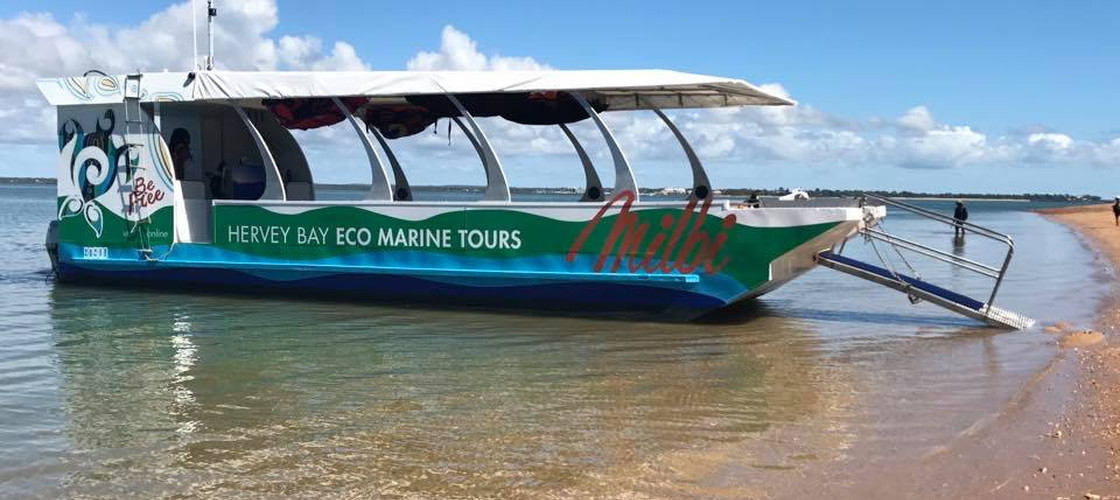 Hervey Bay Marine Eco Cruise Experience Oz