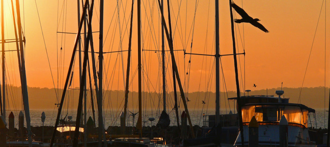 Sunset Cultural Cruise with Champagne and Canapes