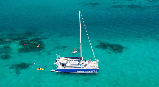 Whale Shark Swim, Eco Tour & Catamaran Cruise