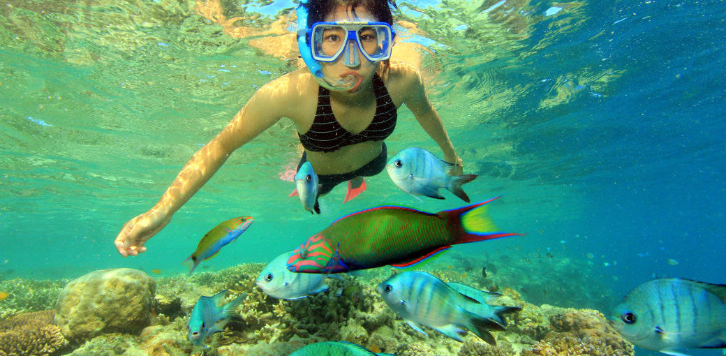Great Barrier Reef Cruise to Hardy Reef Pontoon