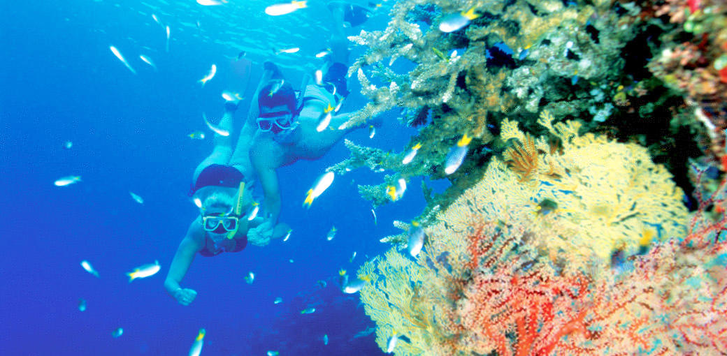 Great Barrier Reef Cruise to Hardy Reef Pontoon