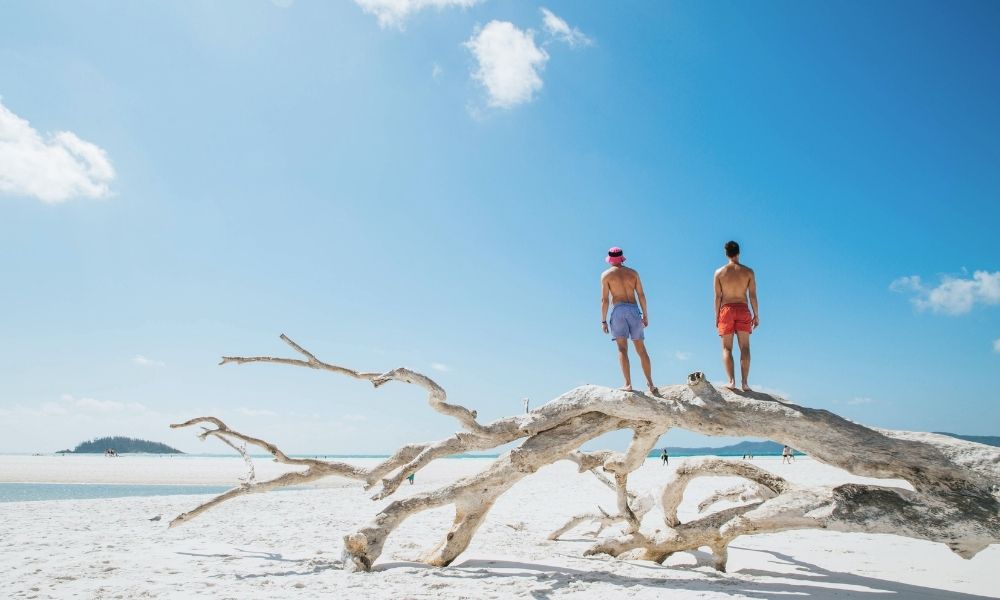 Two man standing on white tree branch on Whitehaven Beach