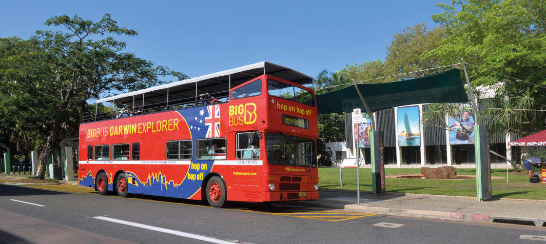 oz experience bus tours