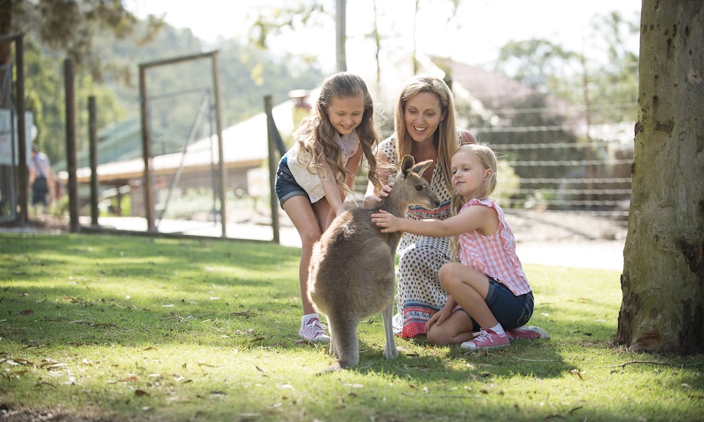 Village Roadshow 14 Day Mega Pass