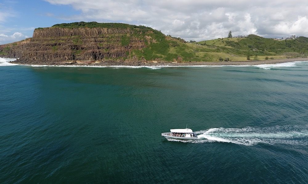 Byron Bay Whale Watching Premier Cruise