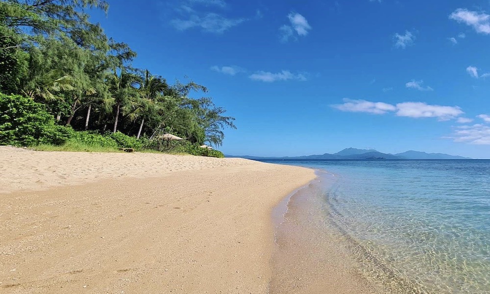 Low Isles Morning Cruise