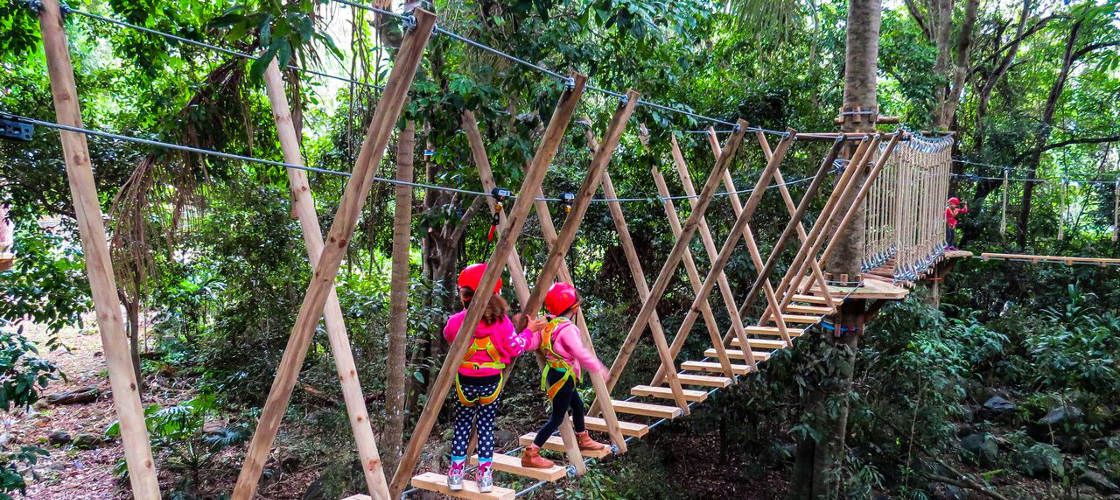 Gold Coast Hinterland Junior TreeTop Challenge