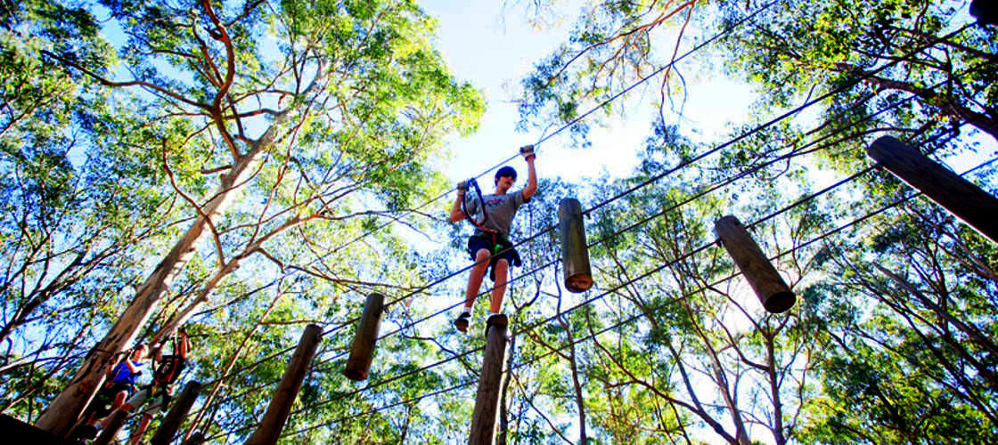 Gold Coast Hinterland Junior TreeTop Challenge