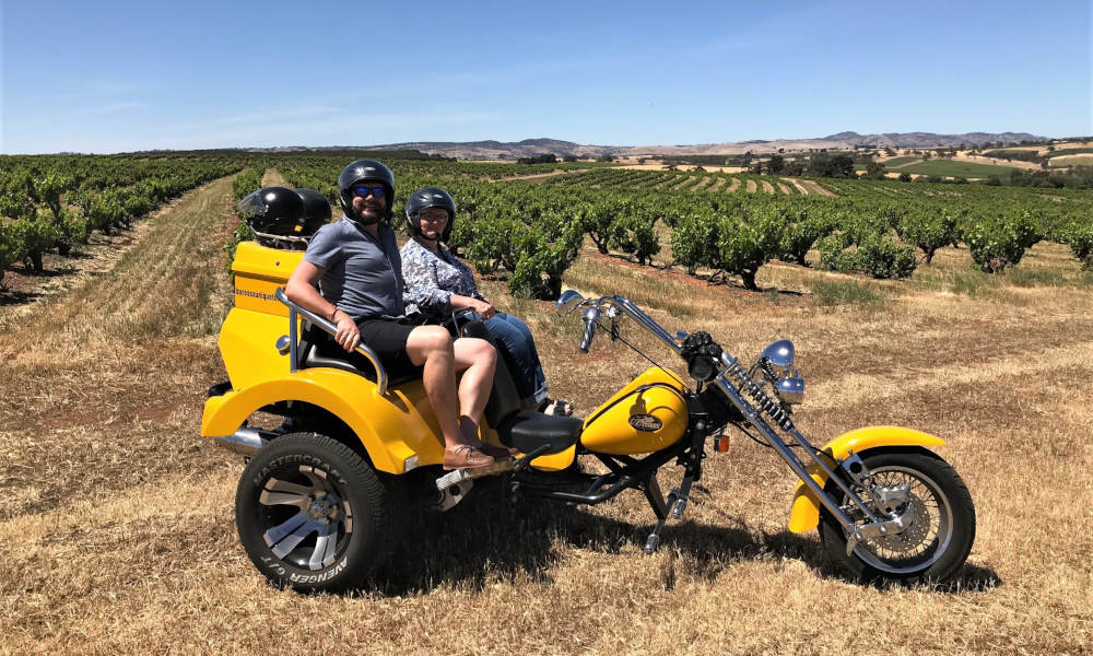 Barossa Valley Winery Trike Tour  Experience Oz