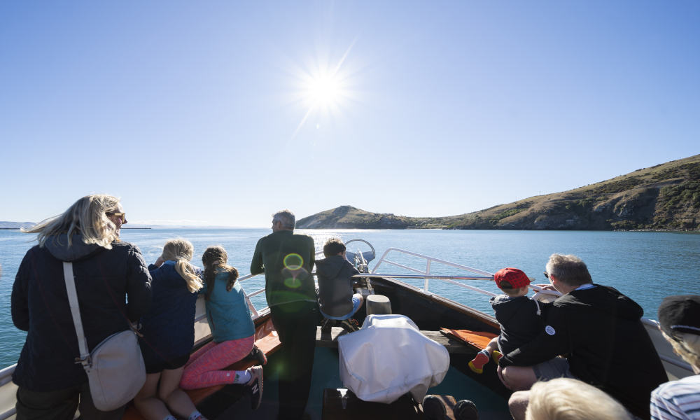 Larnach Castle Tour with Wildlife Cruise from Dunedin 821 Harrington Point Road Otago Peninsula STH 9054