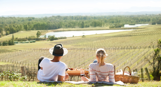 Picnic Among the Vines Winery Tour - Self Guided
