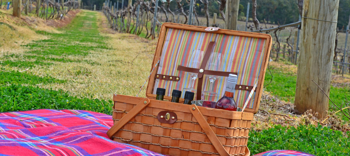 Hunter Valley Self Guided Picnic Winery Tour Experience Oz