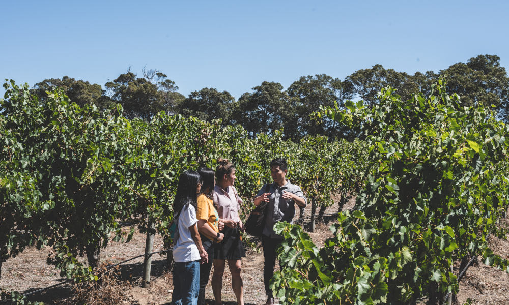 Voyager Estate Tour with 7 Course Lunch