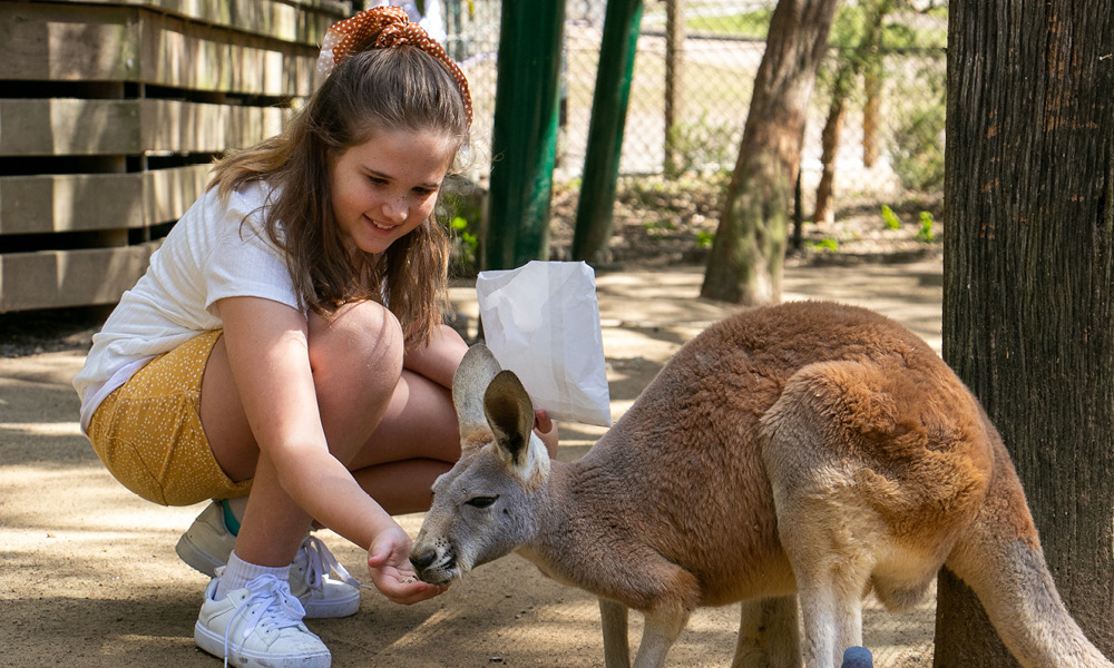 Currumbin Wildlife Sanctuary Tickets