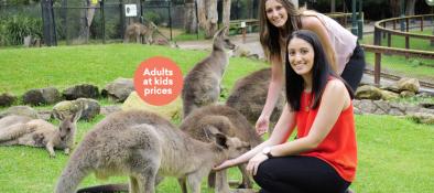 Currumbin Wildlife Sanctuary