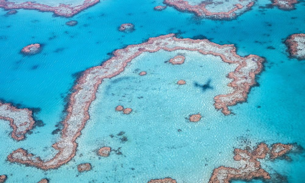 Whitsundays and Great Barrier Reef 60 Minute Scenic Flight