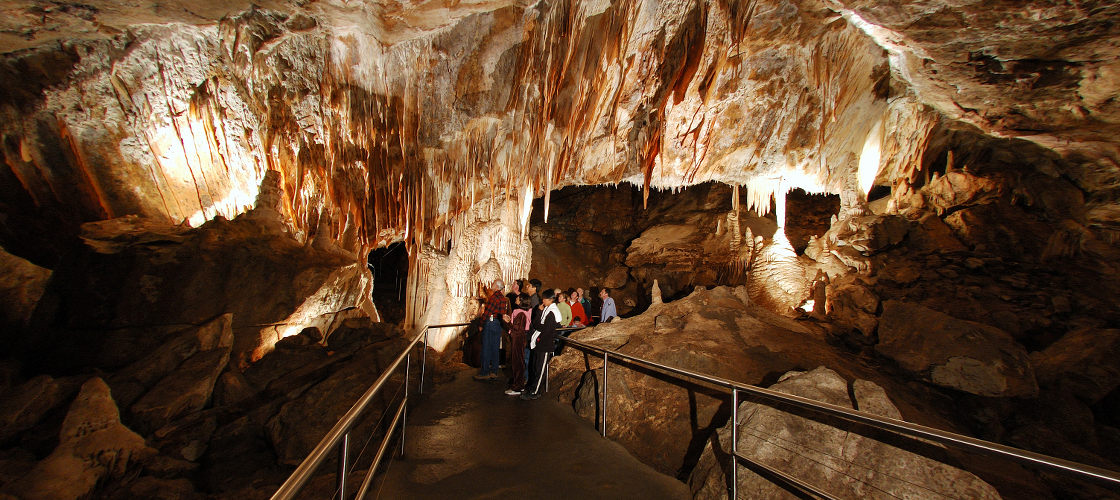 Full Day Jenolan Caves Tour from Sydney Entertainment Nature and Wildlife Science 16-18 Bourke Rd Alexandria NSW 2015