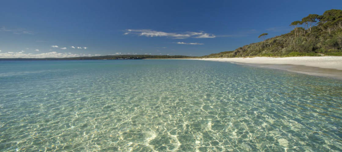 Jervis Bay Dolphin Watching Day Tour from Sydney