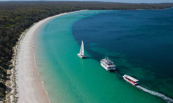 Jervis Bay Dolphin Watching Day Tour from Sydney Thumbnail 6