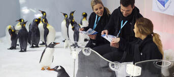 Penguin Encounter at SEA LIFE Melbourne Aquarium Thumbnail 2
