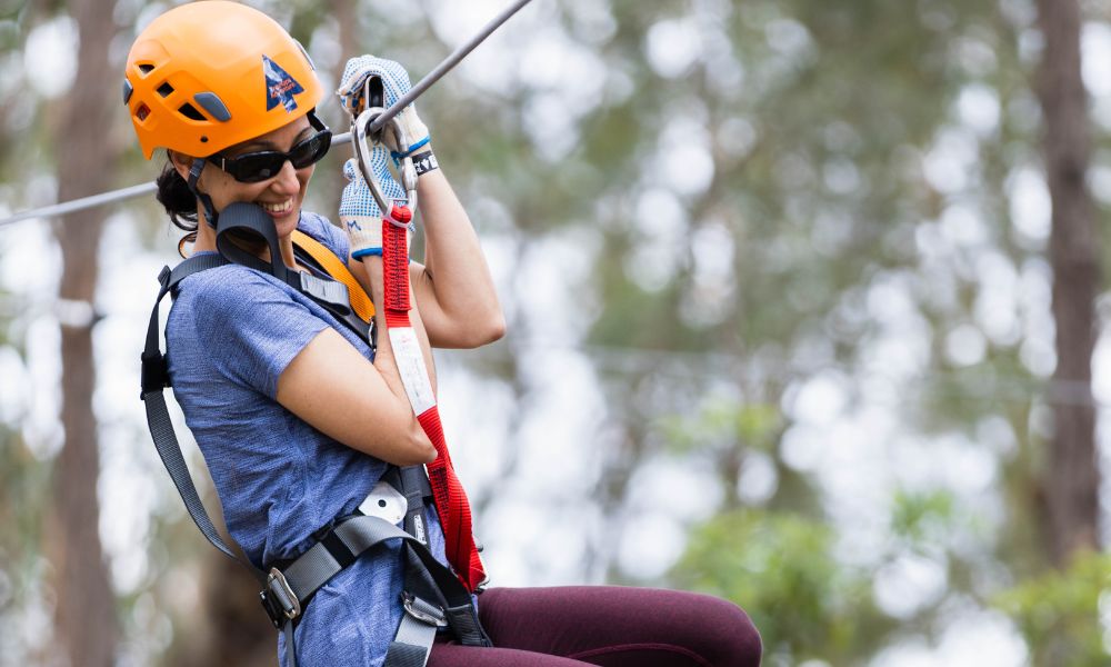 Coffs Harbour Treetop Adventure - 2.5 Hours