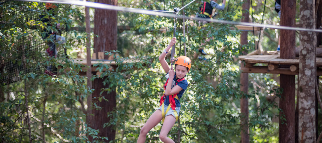 Coffs Harbour Treetop Adventure Park - Book Now | Experience Oz